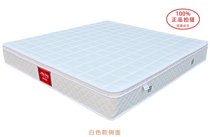 晶晶床墊-天璇星3D環保椰棕彈簧席夢思床墊 晶晶床墊-天璇星3D環保椰棕彈簧席夢思床墊